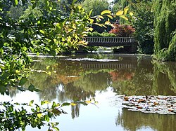 Windlesham Arboretum - geograph.org.uk - 808786